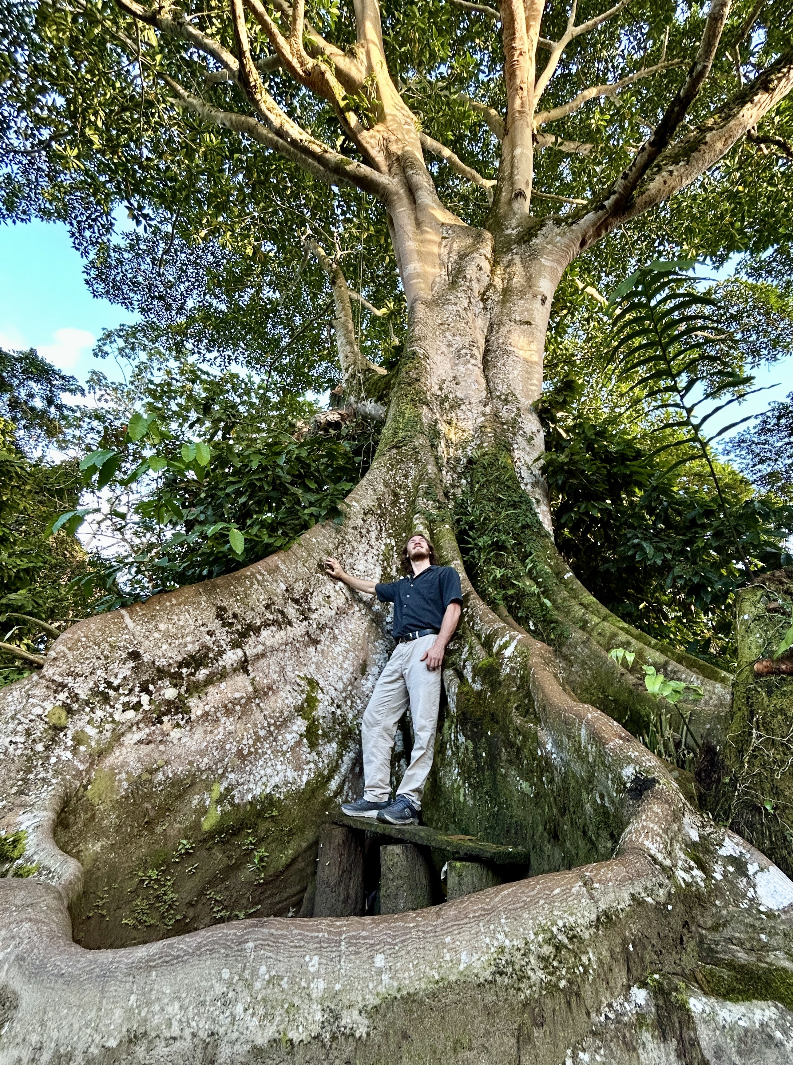 Lukas beside a giant ceiba tree — Ecuador